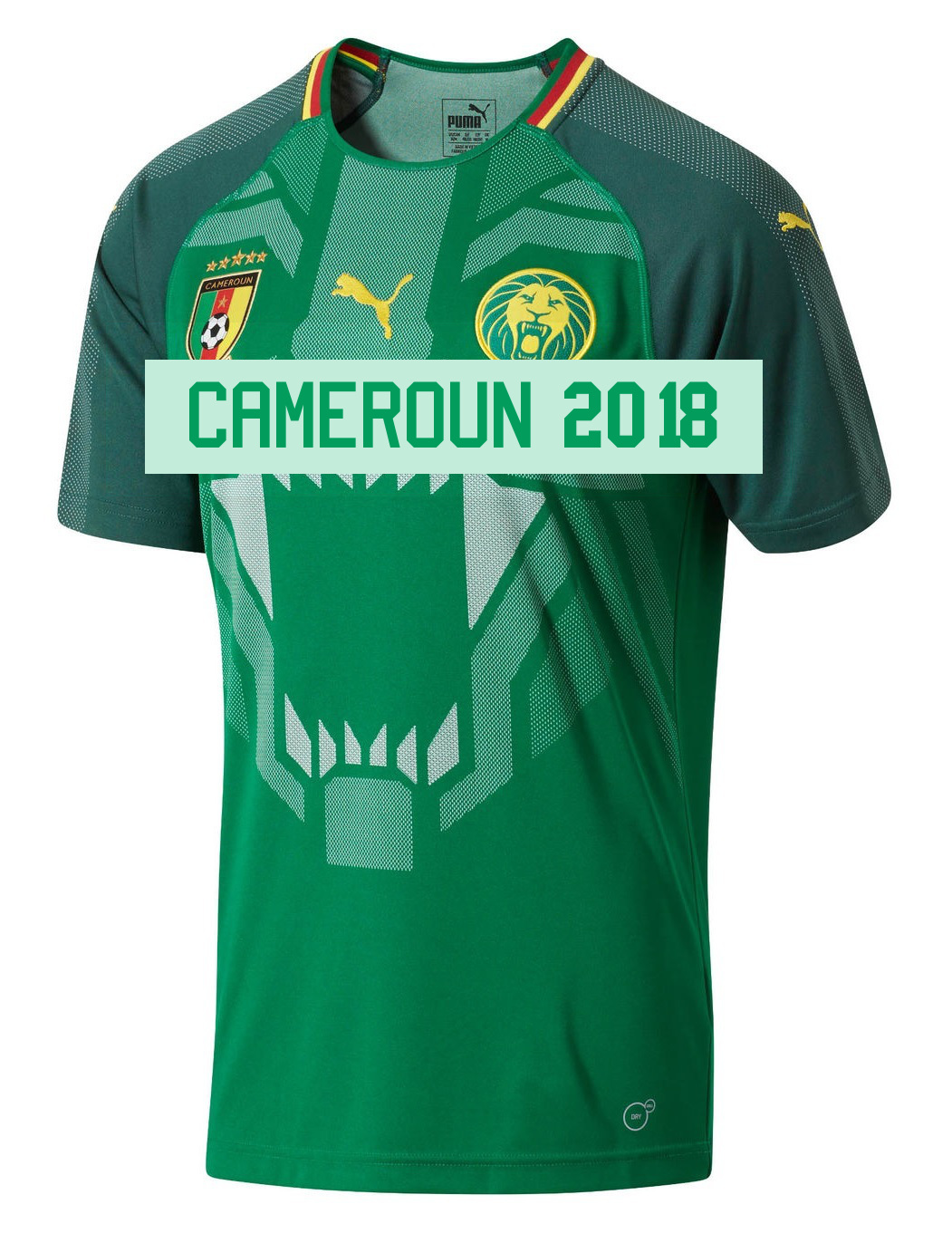 Cameroun 2018 maillot domicile football