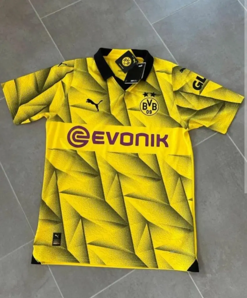 maillot de coupe Dortmund 2023-2024